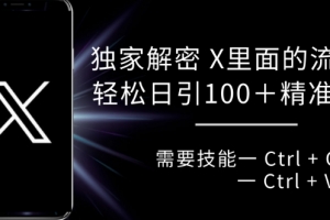 独家解密 X 里面的流量密码,复制粘贴轻松日引100+