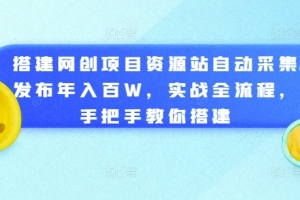 搭建网创项目资源站自动采集发布年入百W,实战全流程,手把手教你搭建
