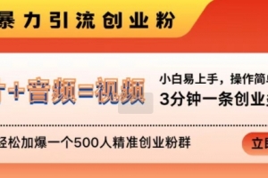 抖音最新暴力引流创业粉,3分钟一条创业类视频,24h轻松加爆一个500人精准创业粉群