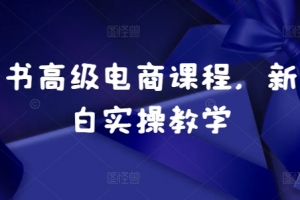 小红书高级电商课程,新手小白实操教学