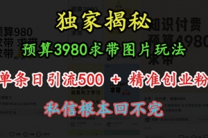 预算3980求带 图片玩法,单条日引流500+精准创业粉,私信根本回不完
