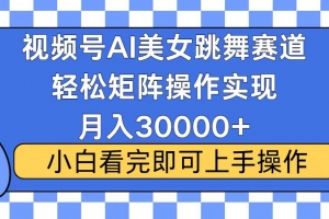 视频号蓝海赛道玩法,当天起号,拉爆流量收益,小白也能轻松月入30000+