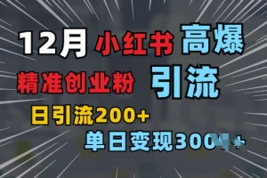 小红书一张图片“引爆”创业粉,单日+200+精准创业粉 可筛选付费意识创业粉