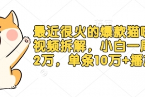 最近很火的爆款猫咪做饭视频拆解,小白一周涨粉2万,单条10万+播放(附保姆级教程)