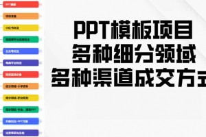 PPT模板项目,多种细分领域,多种渠道成交方式,实操教学
