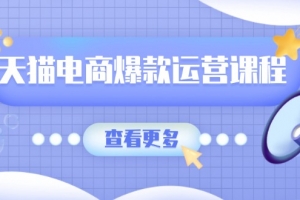 天猫电商爆款运营课程,爆款卖点提炼与流量实操,多套模型全面学习