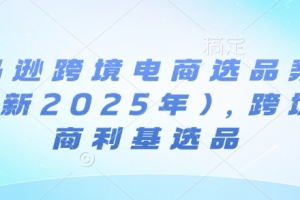 亚马逊跨境电商选品案例(更新2025年),跨境电商利基选品
