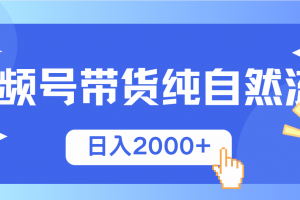 视频号带货,纯自然流,起号简单,爆率高轻松日入2000+