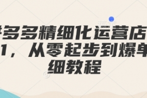 拼多多精细化运营店铺0-1,从零起步到爆单详细教程
