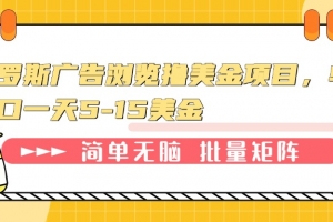 俄罗斯广告浏览撸美金项目,单窗口一天5-15美金