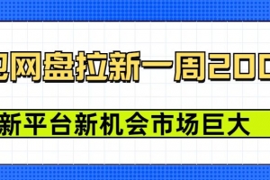 豆包网盘拉新,一周2k,新平台新机会