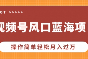 视频号风口蓝海项目,中老年人的流量密码,操作简单轻松月入过万