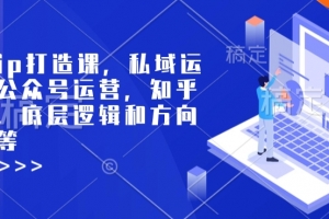 个人ip打造课,私域运营,公众号运营,知乎运营,底层逻辑和方向定位等