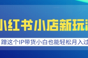 小红书小店新玩法,蹭这个IP带货,小白也能轻松月入过W