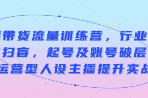 直播带货流量训练营,行业基础术语扫盲,起号及账号破层级,运营型人设主播提升实战
