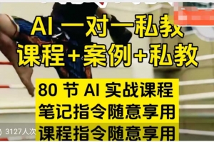 AI指令实战课,课程+案例,80节AI实战课程,笔记指令随意享用,课程指令随意享用