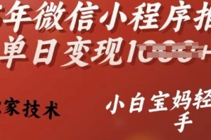 25年微信小程序推广单日变现多张,独家技术,小白宝妈轻松上手