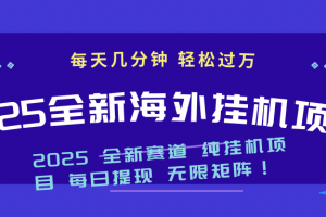 2025最新海外挂机项目:每天几分钟,轻松月入过万