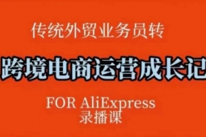 跨境电商速卖通运营课,运营方法论+后台实操,逻辑清晰