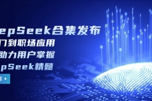 DeepSeek合集发布,从入门到职场应用,全面助力用户掌握DeepSeek精髓