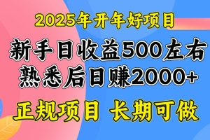 2025开年好项目,单号日收益2000左右