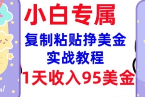 复制粘贴挣美金,0门槛,1天收入95美刀,3分钟学会,内部教程(首次公开)