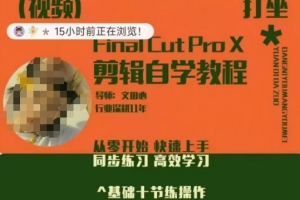 轻松玩转剪辑系统课,从零开始快速上手,同步练习高效学习,思维提升从简到难