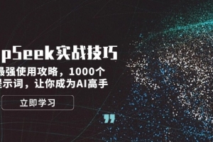 DeepSeek实战技巧:集合最强使用攻略,1000个神级提示词,让你成为AI高手
