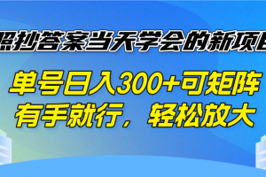 照抄答案当天学会的新项目,单号日入300 +可矩阵,有手就行,轻松放大