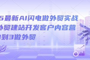 2025最新AI闪电做外贸实战课,外贸建站开发客户内容营销从0到3做外贸