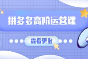 拼多多高阶运营课:极致群爆款玩法,轻付费无尽复制,打造单品爆款之路