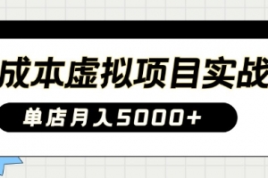 0成本虚拟项目实战手把手教你落地,单店月入5k