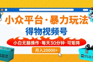 小众平台暴力玩法,一键搬运爆款视频,可矩阵小白无脑操作,每天30分钟…