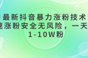 3月最新抖音暴力涨粉技术,快速涨粉安全无风险,一天涨1-10W粉