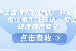 淘宝蓝海无货源课,精细运营,拒绝短平快玩法,拒绝简短课程凑章节