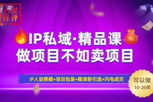 2025年“IP私域·密训精品课”,日赚3000+小白避坑年赚百万,暴力引流…