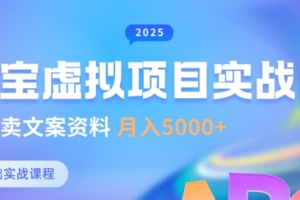 淘宝虚拟项目垂直玩法,新手卖文案资料,月入5k+