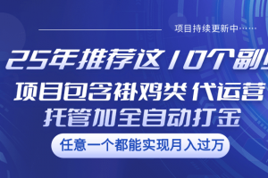 25年推荐这10个副业 项目包含褂鸡类、代运营托管类、全自动打金类