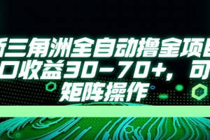 最新三角洲全自动撸金项目,单窗口收益30-70+,可批量矩阵操作