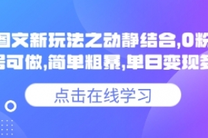 小说推文图文新玩法之动静结合,0粉抖音账号可做,简单粗暴,单日变现多张