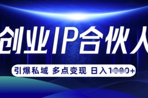 云帆·创业ip合伙人打造3.0,从0到1教你做网创,实现月入过W