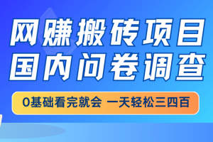 网赚搬砖项目,国内问卷调查,0基础看完就会 一天轻松三四百,靠谱副业…