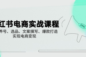 小红书电商实战课程,详解养号、选品、文案撰写、爆款打造,实现电商变现