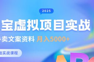 0基础淘宝虚拟项目垂直玩法,新手卖文案资料,月入5000+