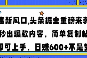 财富新风口,头条掘金重磅来袭AI秒出爆款内容简单复制粘贴即可上手,日…