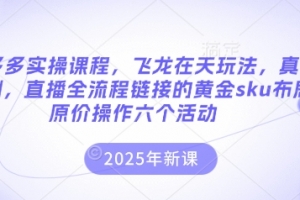 拼多多实操课程,飞龙在天玩法,真实案例,直播全流程链接的黄金sku布局原价操作六个活动