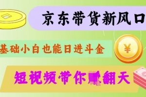 最新京东短视频带货代运营秘籍,轻松躺挣