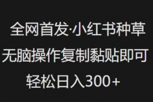 全网首发,小红书种草无脑操作,复制黏贴即可,轻松日入3张