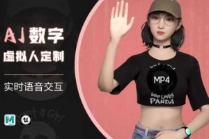 Ai数字人虚拟(智能体)实时语音交互特训营,自行定制超写实角色AI数字人交互技术