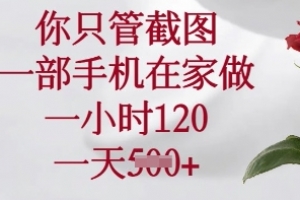 你只管截图,一部手机在家做,一小时120.一天5张